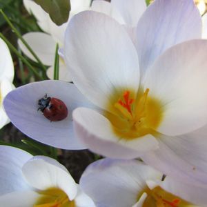 Meet your Posher, Karin